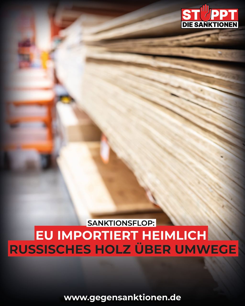 Sanktionsflop: EU importiert heimlich russisches Holz über Umwege